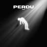 PERDU